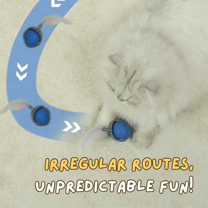 Speedy Tail Toy