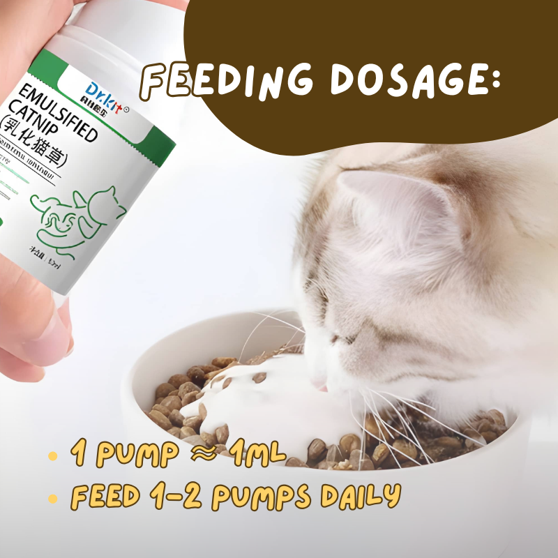 Creamy Cat Grass